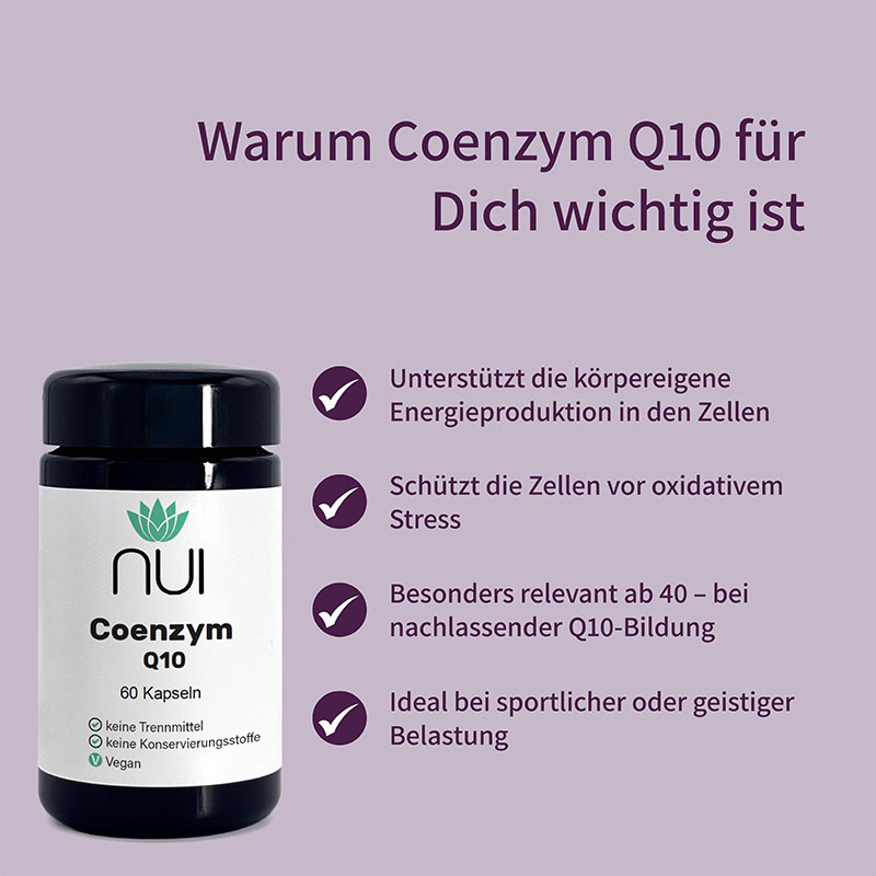 Lila Hintergrund mit Überschrift: ‘Warum Coenzym Q10 für Dich wichtig ist’. Links eine Flasche NUI Coenzym Q10, rechts Bulletpoints: Unterstützung der Energiegewinnung, Schutz der Zellen vor oxidativem Stress, besonders wichtig ab ca. 40 Jahren, niedrigere Verfügbarkeit bei schlechter Ernährung.