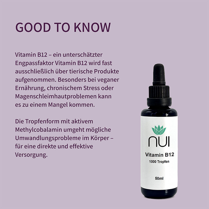 Lila Hintergrund mit Überschrift: ‘GOOD TO KNOW’. Textblock: ‘Vitamin B12 ist essentiell für Nerven, Energie & Blutbildung. Besonders bei veganer oder vegetarischer Ernährung ist eine Supplementierung sinnvoll.’ Rechts eine Flasche NUI Vitamin B12 Tropfen.
