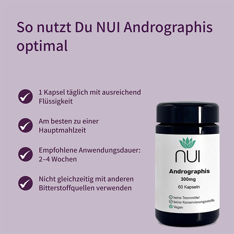 Lila Hintergrund mit Überschrift: ‘So nutzt Du NUI Andrographis optimal’. Links Bulletpoints: ‘1 Kapsel täglich mit ausreichend Flüssigkeit einnehmen’, ‘Am besten im Winter oder saisonal anwenden’, ‘Nicht geeignet während Schwangerschaft & Stillzeit’. Rechts eine Flasche NUI Andrographis.