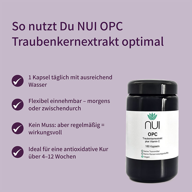 Lila Hintergrund mit Überschrift: ‘So nutzt Du NUI OPC Traubenkernextrakt optimal’. Links Bulletpoints: ‘Täglich 1 Kapsel mit ausreichend Flüssigkeit einnehmen’, ‘Am besten morgens oder mittags’, ‘Regelmäßig für beste Ergebnisse’. Rechts eine Flasche NUI OPC Traubenkernextrakt.