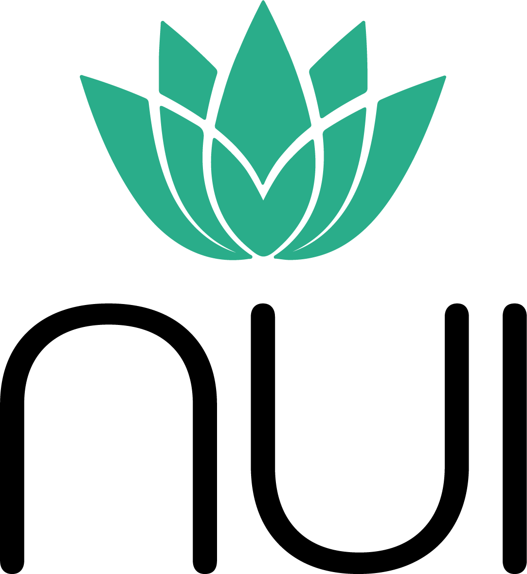 NUI Logo