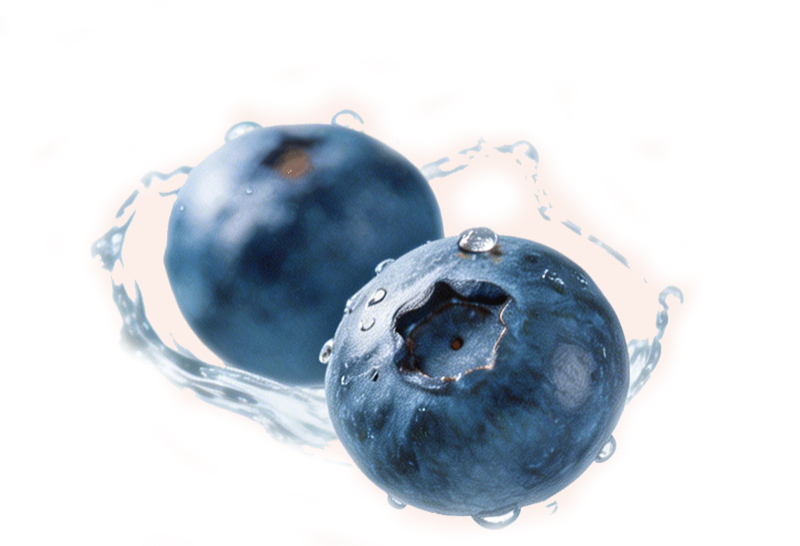 Heidelbeeren