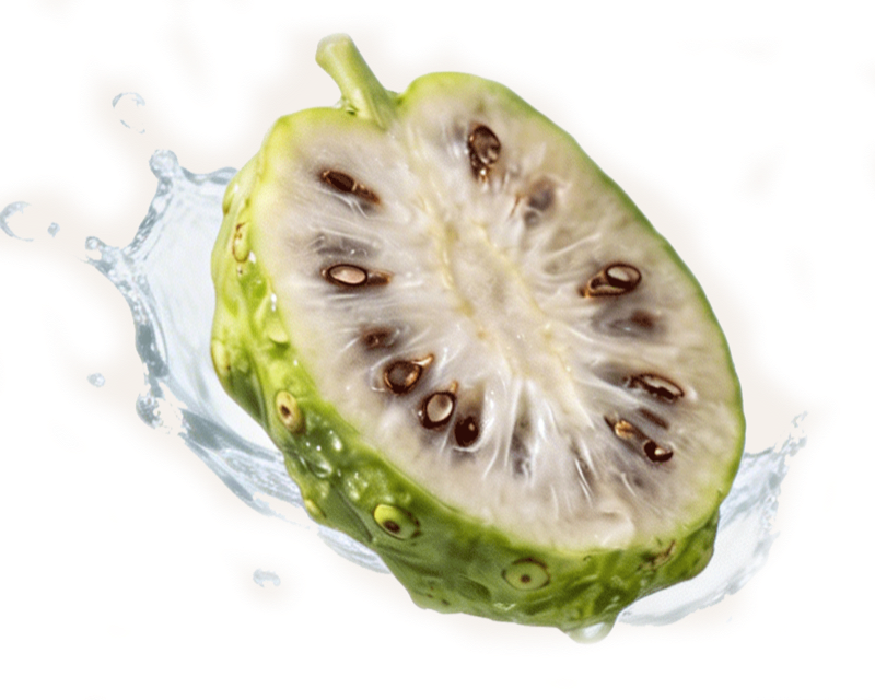 Noni-Frucht