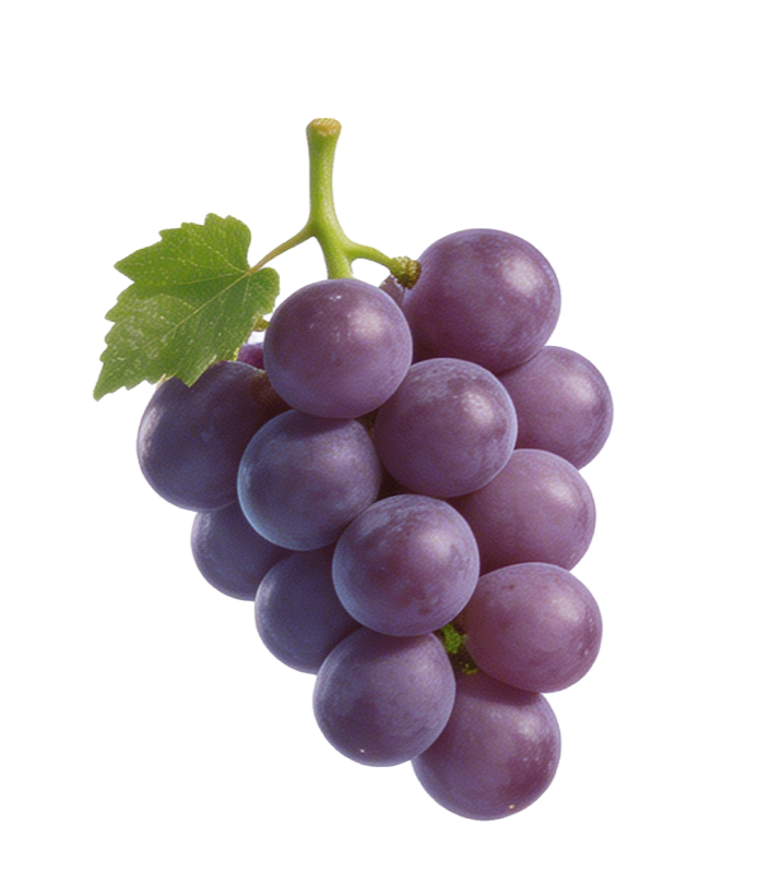 Rote Traube